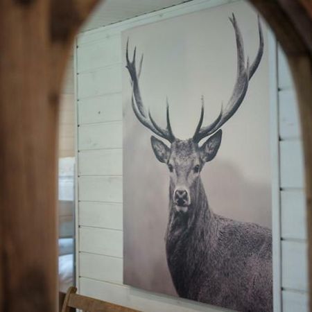 Chalet Le Grand Cerf Bullange Kültér fotó