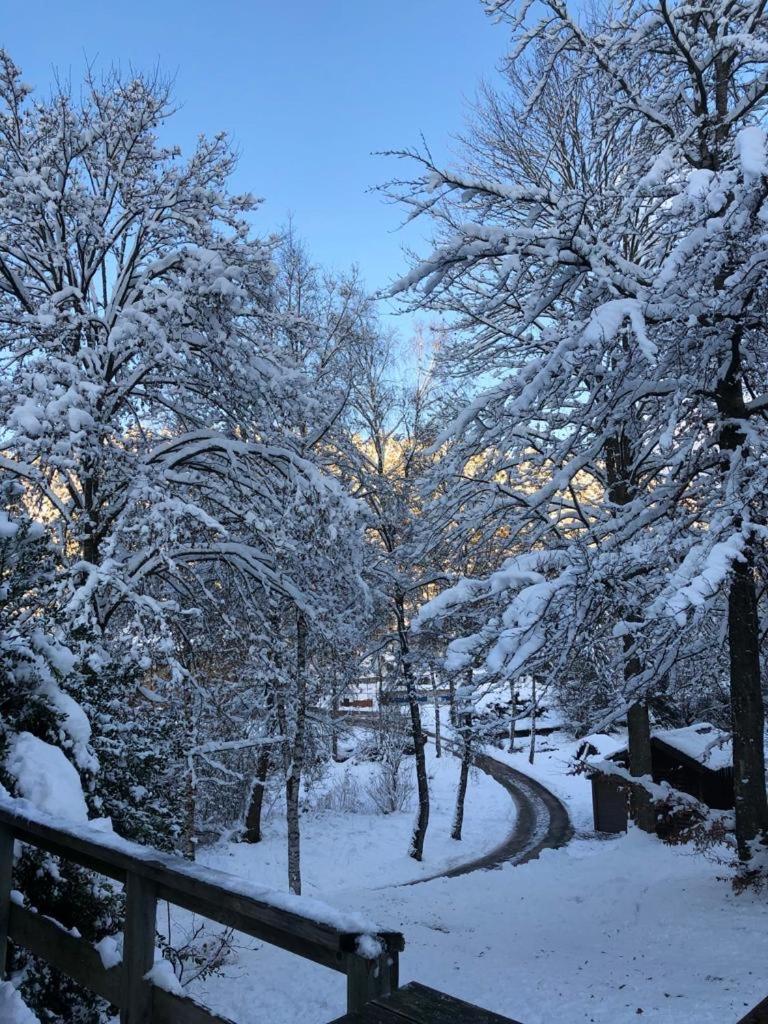 Chalet Le Grand Cerf Bullange Kültér fotó