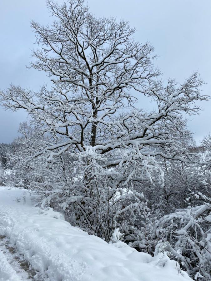 Chalet Le Grand Cerf Bullange Kültér fotó