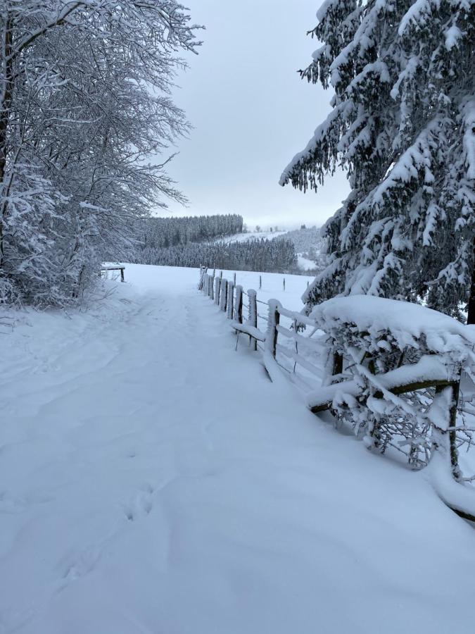 Chalet Le Grand Cerf Bullange Kültér fotó