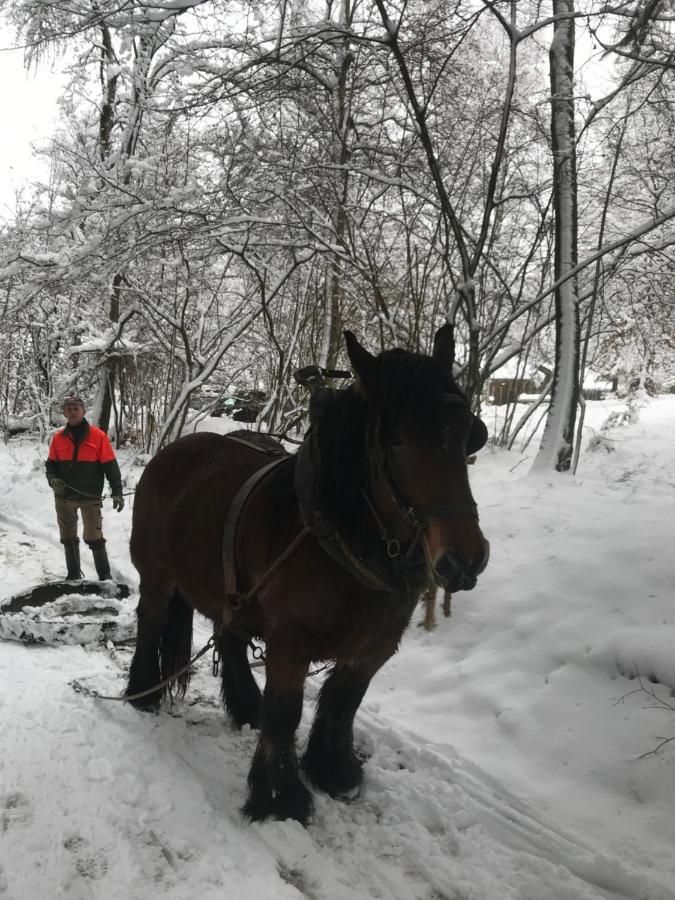 Chalet Le Grand Cerf Bullange Kültér fotó
