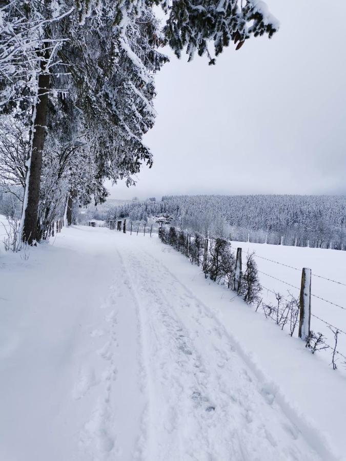 Chalet Le Grand Cerf Bullange Kültér fotó