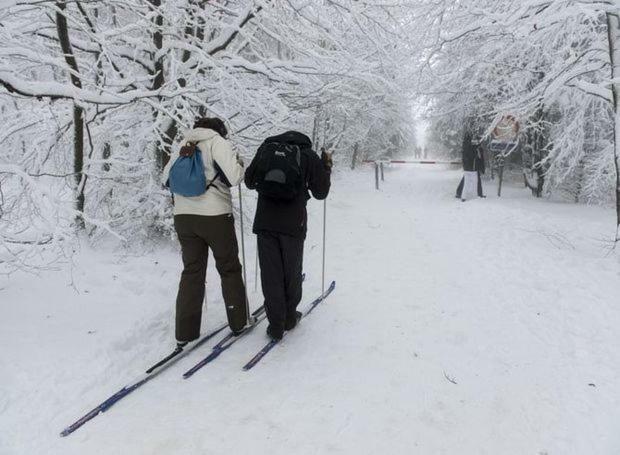 Chalet Le Grand Cerf Bullange Kültér fotó